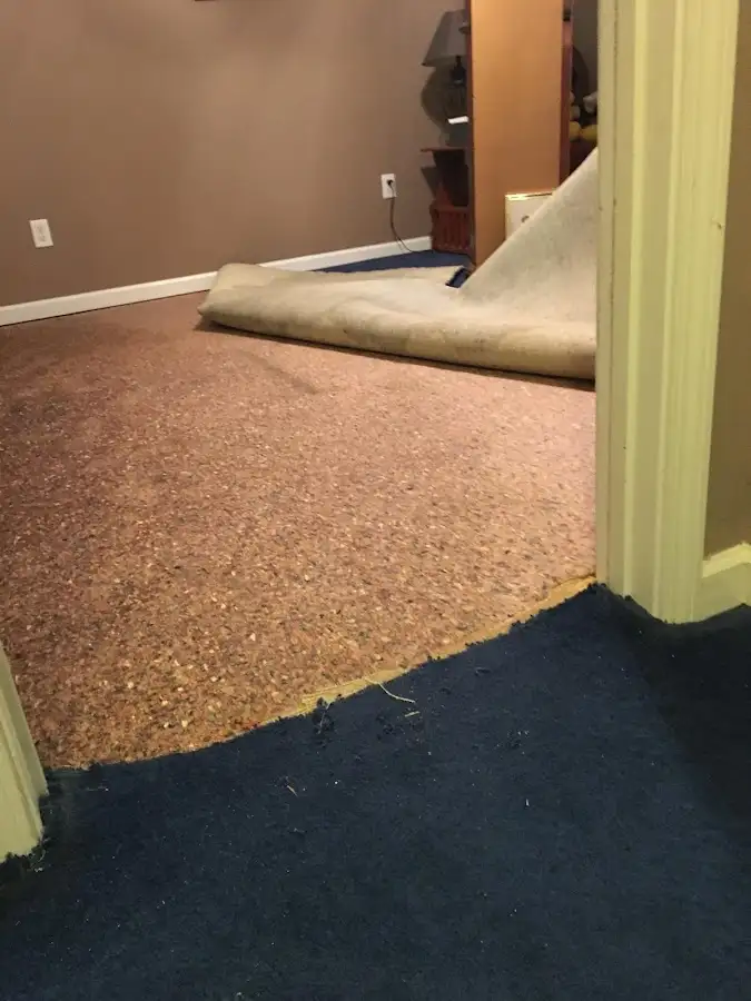 Carpet pad removal revealing water damage during Drying & Dehumidification in Denville